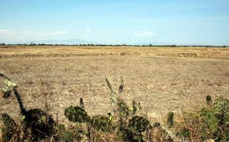 Những cánh đồng xơ xác, không thể canh tác ở Ninh Thuận.